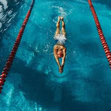 Image result for Swimming
