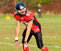 Image result for Warwick Wolves