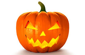 Image result for Kürbis