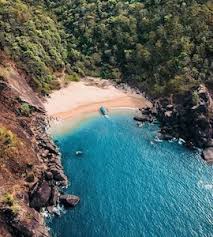 Image result for goa beaches