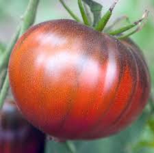 Afbeeldingsresultaat voor black sea man tomato