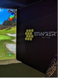 Image result for Stingers Korfball Club