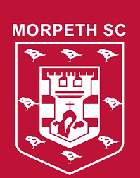 Image result for Sedgefield 75 Swimming Club