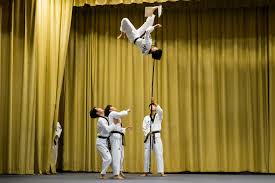 Image result for South Bank Taekwondo