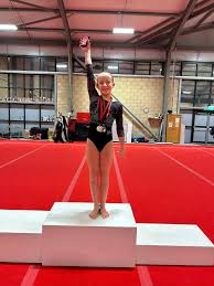 Image result for Abingdon Gymnastics Club