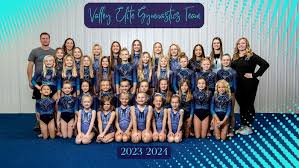 Image result for Blythe Valley Gymnastics Club