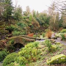 Image result for Dunfermline and West Fife Ac