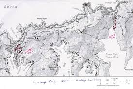 Image result for Marlborough and District Tri-Club
