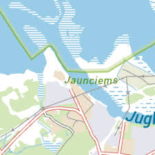 Attēlu rezultāti vaicājumam “Badhamiopsis praetermissa”