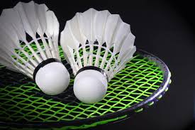 Image result for Westfield Junior Development Badminton Club