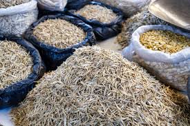 Attēlu rezultāti vaicājumam “Charales”