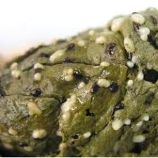 Image result for cestoda excrement dog