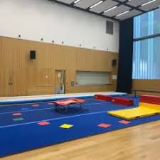 Image result for Wolverhampton Gymnastics Club