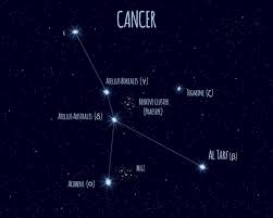 Image result for Cancer borealis