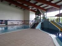 Image result for Crawley Swimming Club