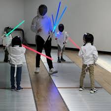 Image result for Academy Fencing Clubs