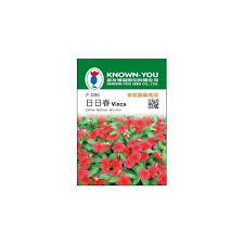 Image result for 春粒