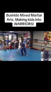 Image result for Villatoro Bushido Martial Arts