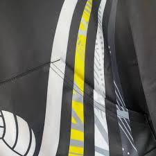 Image result for Brighton Netball Club