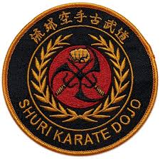 Image result for Horndean Zen Judo Club