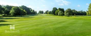 Image result for Dorking Golf Club