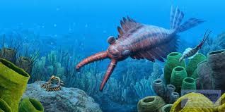 Attēlu rezultāti vaicājumam “Anogcodes melanurus”