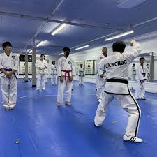 Image result for New Milton Taekwondo Club