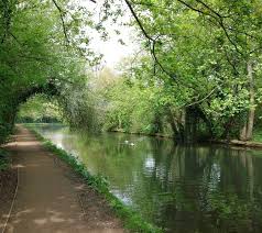 Image result for Hemel Hempstead Cc