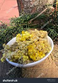 Attēlu rezultāti vaicājumam “Helichrysum arenarium leaf”