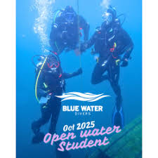 Image result for Blue Water Diving