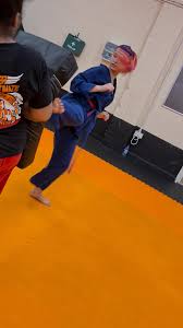 Image result for Kidderminster Tae Kwon Do Tigers