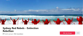 Image result for Reddish Rebels