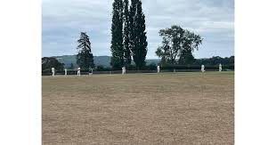 Image result for Buxted Park Cricket Club