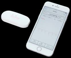 Image result for 自宅突然死 単身世帯