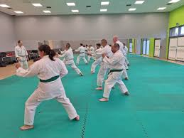 Image result for Konjaku Shin National School Of Karate, Lincolnshire