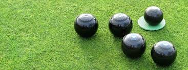 Image result for Combe Martin Bowling Club