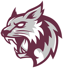 Image result for West London Wildcats