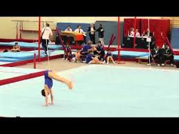 Image result for Hawth Gymnastics, Crawley