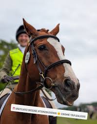 Image result for Bookham Riding School