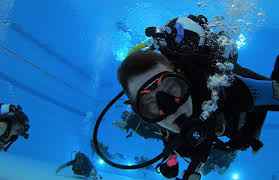 Image result for Chiltern Divers