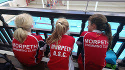 Image result for Portobello Asc