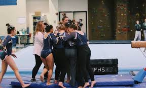 Image result for Wyre Forest School Of Gymnastics