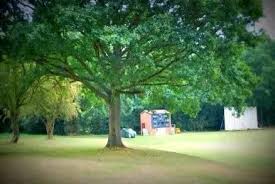 Image result for Barnt green