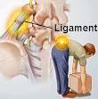 <b>Low Back</b> Anatomy Lesson