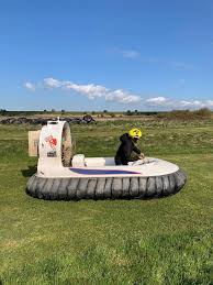 Image result for Hover Force