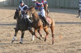 Image result for Woolmers Park Polo Club