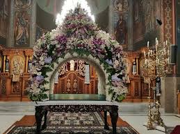 Attēlu rezultāti vaicājumam “Epirhoe tristata”