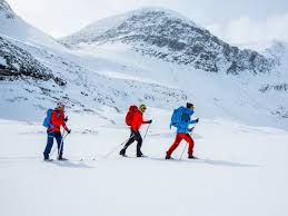 Image result for Scandinavian slope and cross country skiing