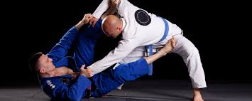 Image result for British Jiu-Jitsu School