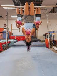 Image result for Acrobrats